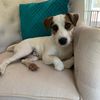 tobythejrt