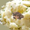 mashedpotatoads