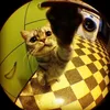 iamnotmathh