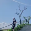 hoaban017