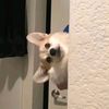aurdy_21