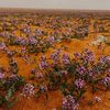 abdallh1992_1