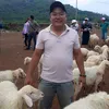 giang.61g1.87665