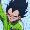 prince_vegeta.757