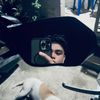 _ziemar