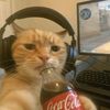 studentpeach