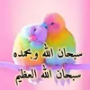 islam4457