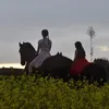 henni_und_tari