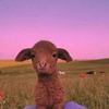 oinkoink.moomoo