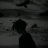 ahmed_gaber4477