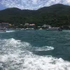 bephai18.12