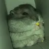 jezzie98