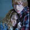 im.a.potter.head