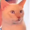 s_diazo