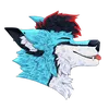 blizzarashi