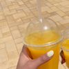 santoshi_srs