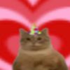 eye_lessjeff