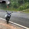 truonggiangdao59