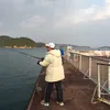 chunping2019jp