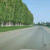 ymarhyssez