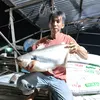 HungNguyen95