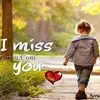 tanveerahmed0429