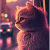 sara_6976