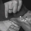 5zet._v