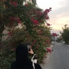 shahd_mohamed5_