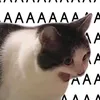 trash_kitty_03