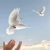 soujoudsedeki