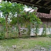 maswawan548
