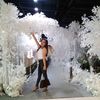 starlettsnow