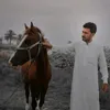 mr_17t