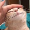 wupwupbub