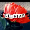 sahar..88