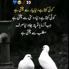 shahidakber91