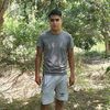 geordypalomino2