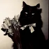 kittye.mi