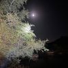 ☆عبدالرحمن الودعاني☆