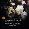 saad201199