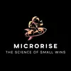 microrise