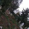 baxan_jalal05