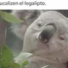 ohwellitslali