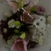 nat_lewasau