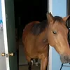hfhjcfb