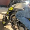 j.carp81
