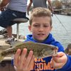 davidgleason_