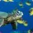 sea_turtlike
