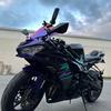 zippy_zx6r